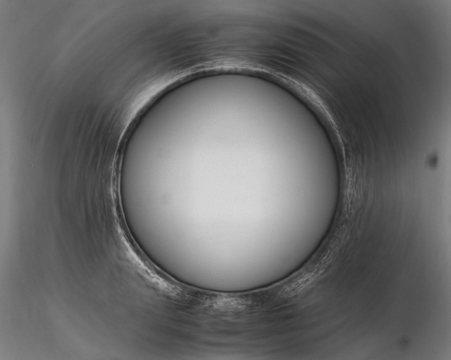 X0000116290847200912141310