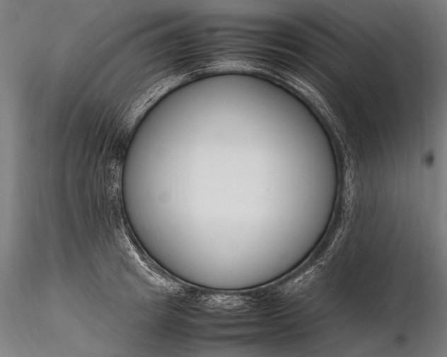 X0000116290849200912141310