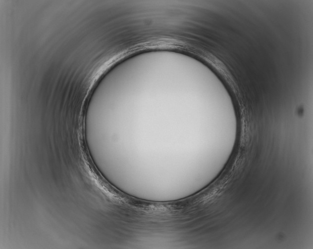 X0000116290850200912141310