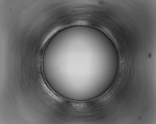 X0000116290851200912141310