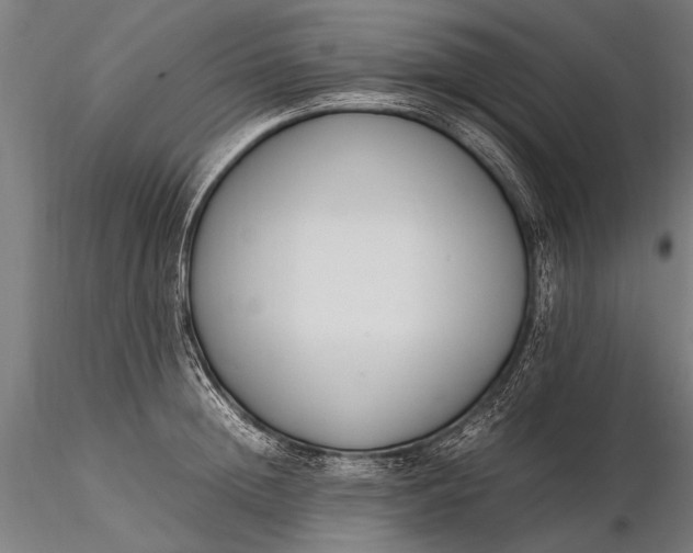 X0000116290852200912141310