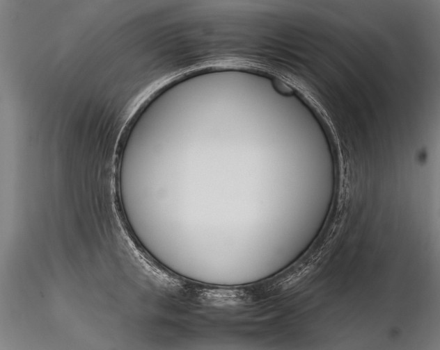 X0000116290853200912141310