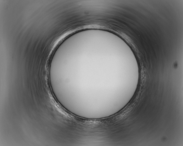 X0000116290854200912141310