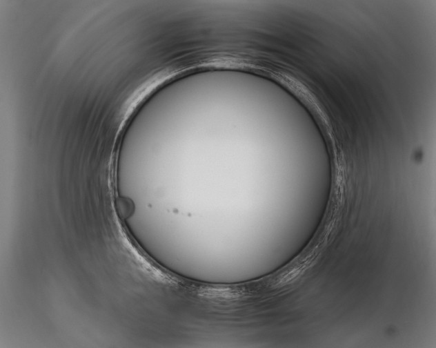 X0000116290855200912141310