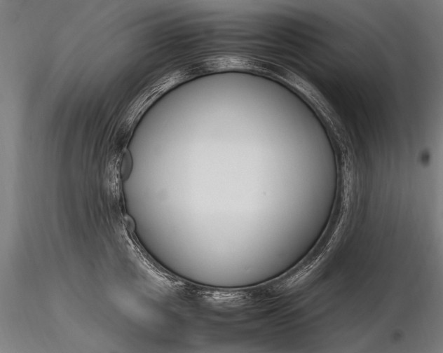 X0000116290857200912141310