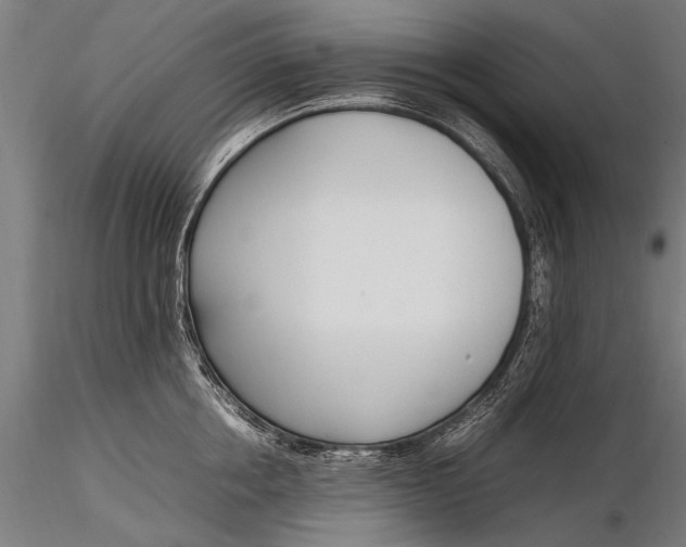 X0000116290858200912141310