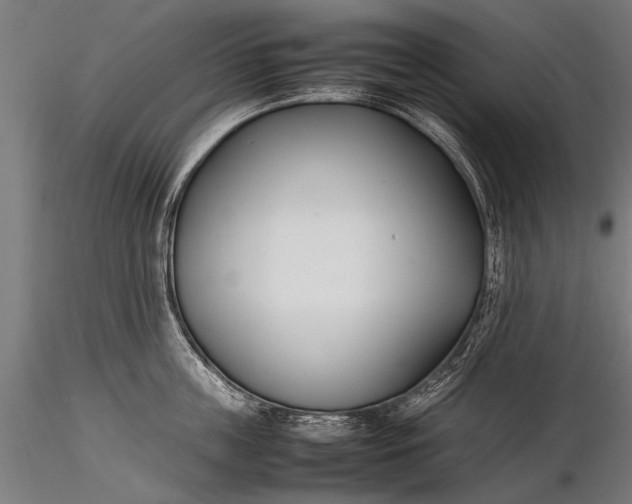 X0000116290859200912141310