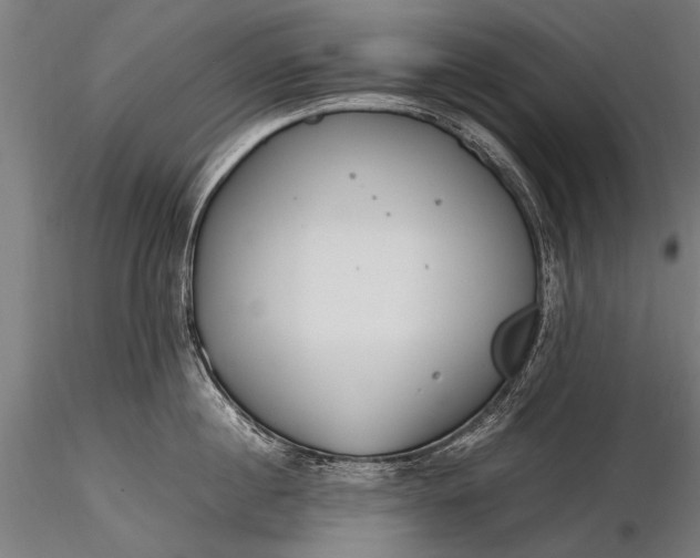 X0000116290860200912141310