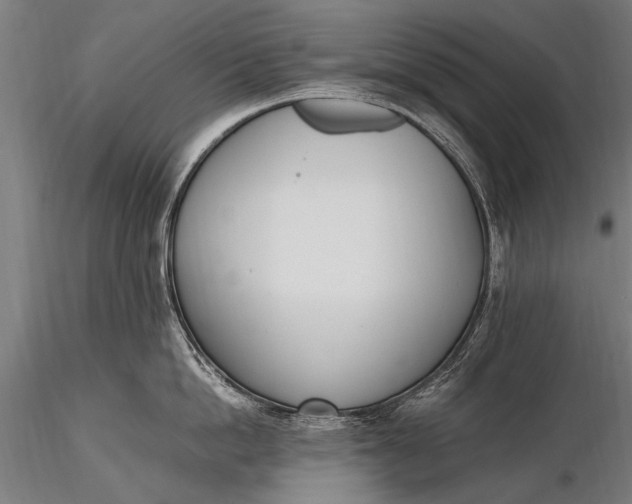 X0000116290862200912141310