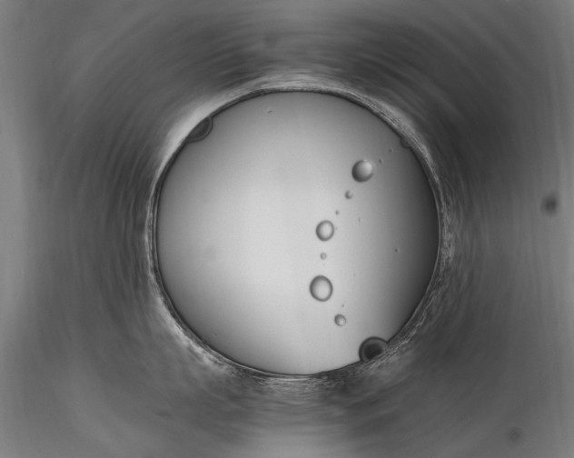 X0000116290863200912141310