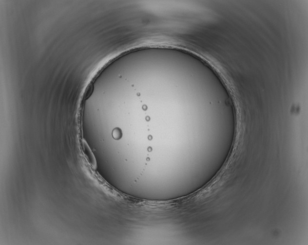 X0000116290864200912141310