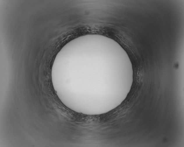 X0000116290865200912141309