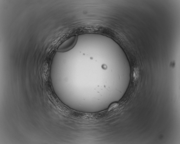 X0000116290867200912141309