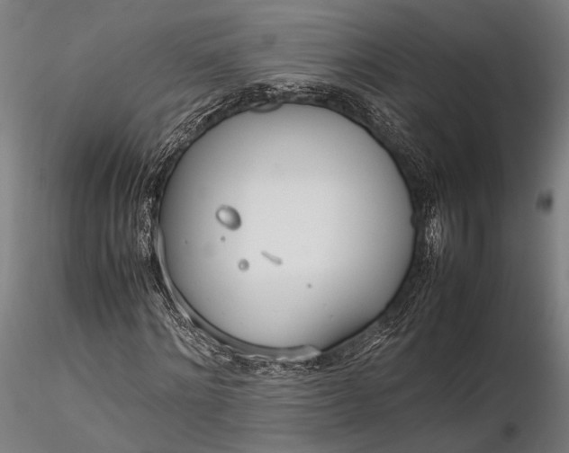 X0000116290868200912141309