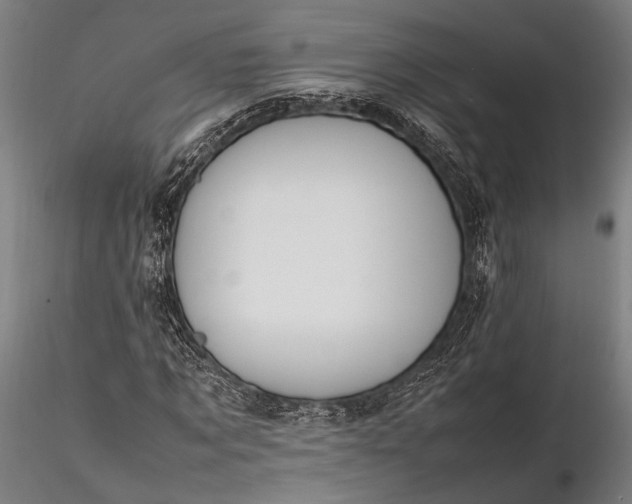 X0000116290869200912141309