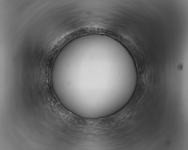 X0000116290870200912141309