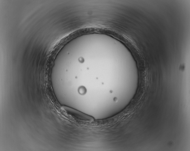 X0000116290872200912141309