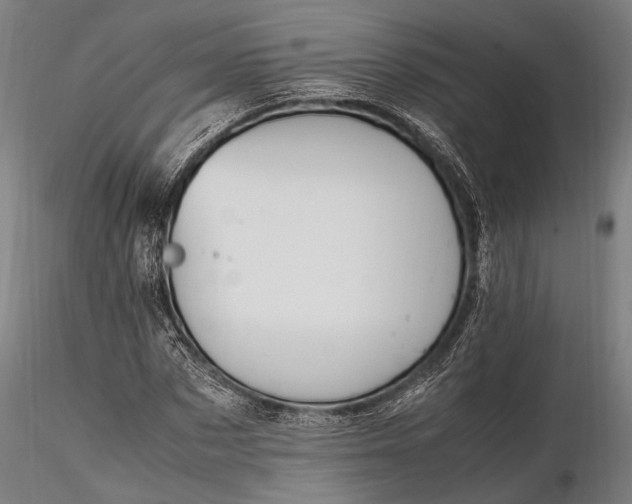 X0000116290873200912141309