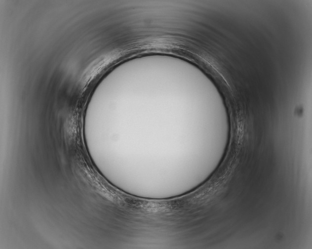 X0000116290874200912141309