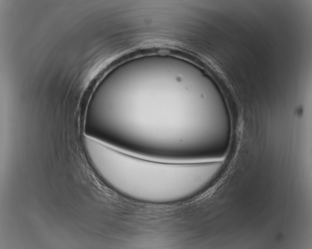 X0000116290877200912141309