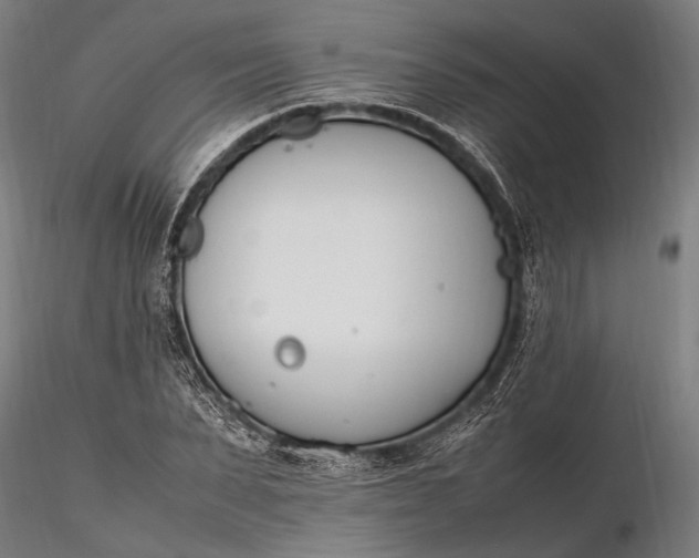 X0000116290879200912141309