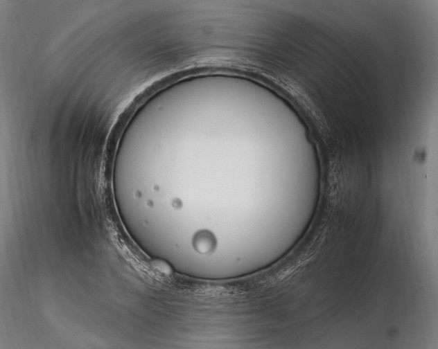 X0000116290880200912141309