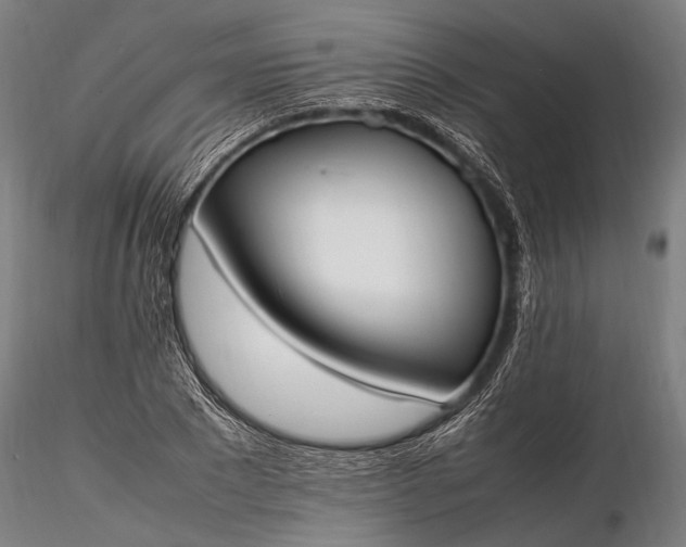 X0000116290881200912141309