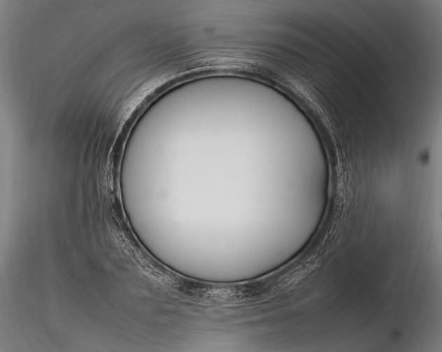 X0000116290883200912141309