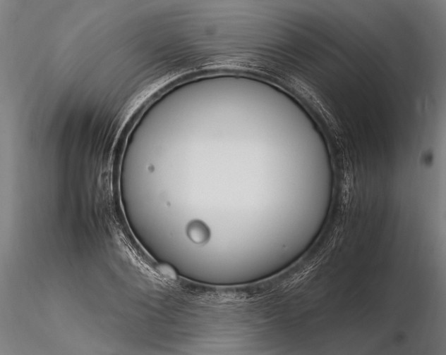 X0000116290884200912141309