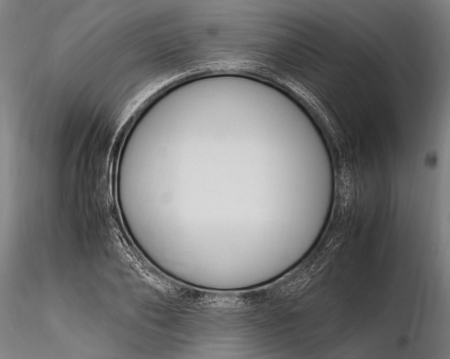 X0000116290886200912141309