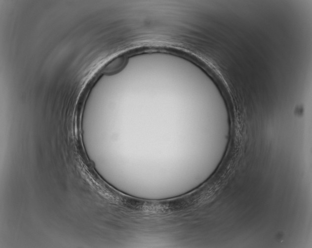 X0000116290887200912141309