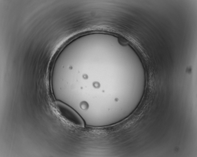 X0000116290888200912141309