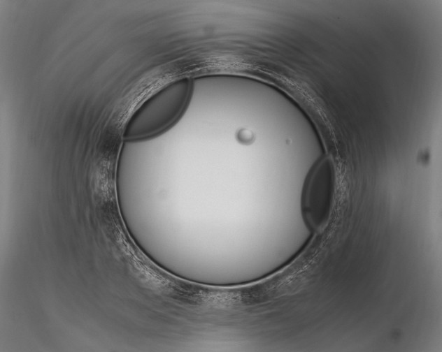 X0000116290889200912141309