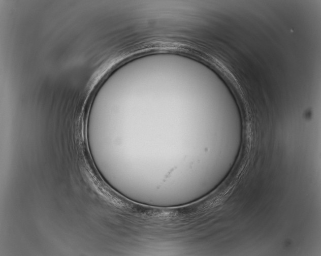 X0000116290891200912141309