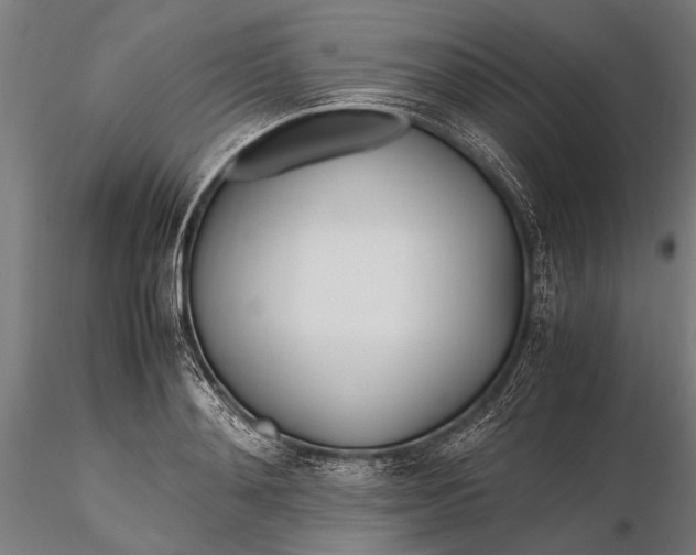 X0000116290892200912141309