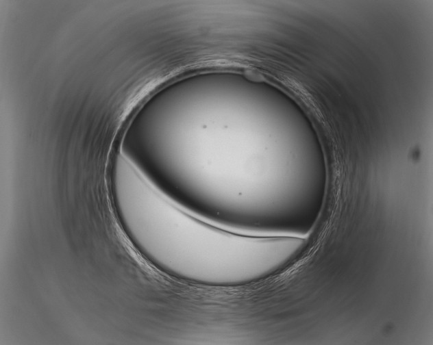 X0000116290893200912141309