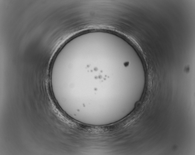 X0000116290895200912141309