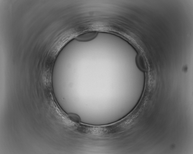 X0000116290897200912141309