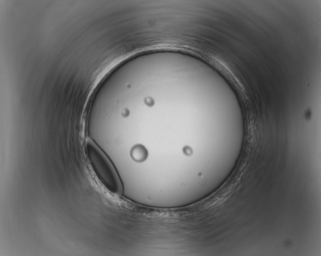 X0000116290900200912141309