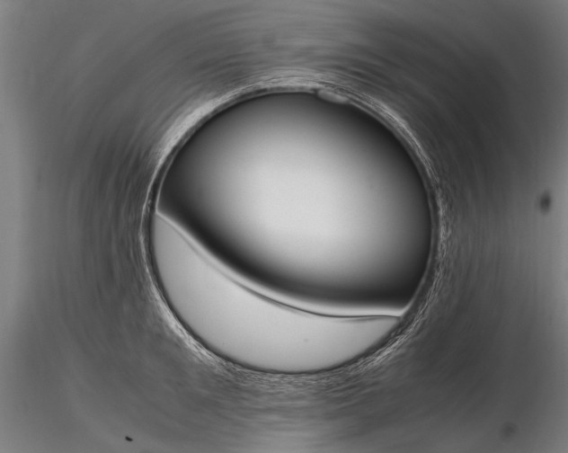 X0000116290901200912141309