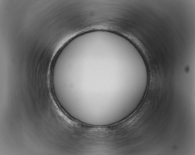 X0000116290902200912141309