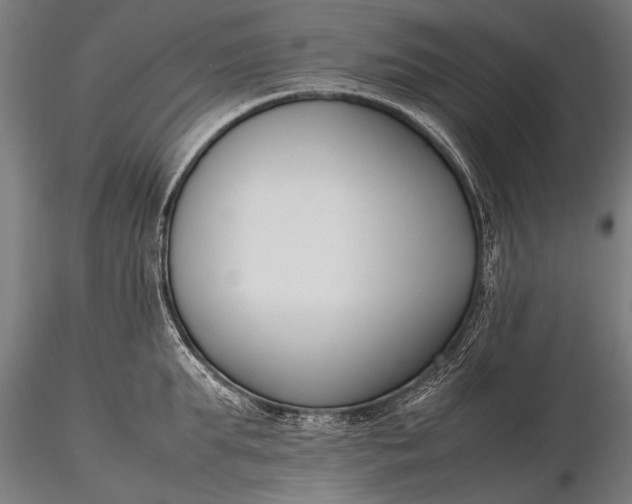 X0000116290903200912141309