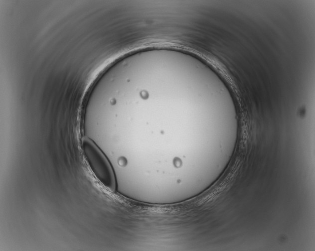 X0000116290904200912141309