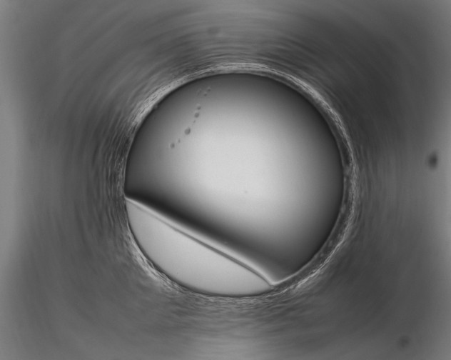 X0000116290905200912141309