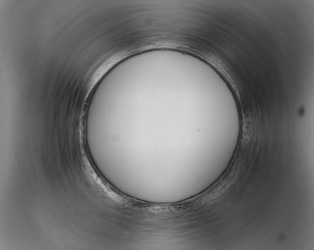 X0000116290906200912141308