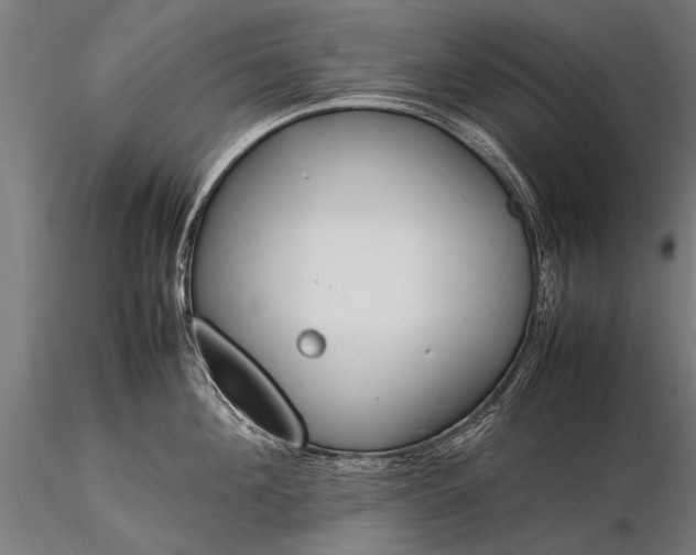 X0000116290908200912141308