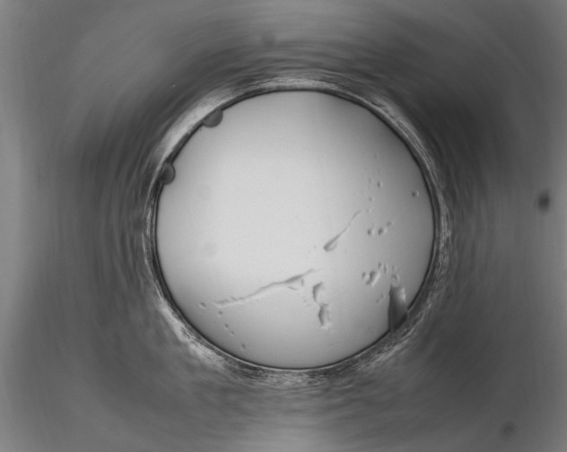 X0000116290909200912141308