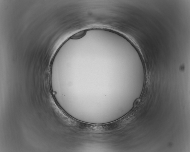 X0000116290911200912141308