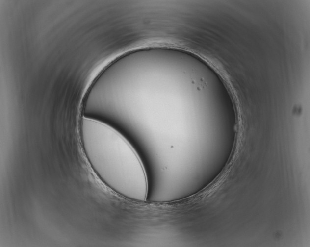 X0000116290912200912141308