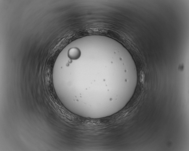 X0000116290915200912141308